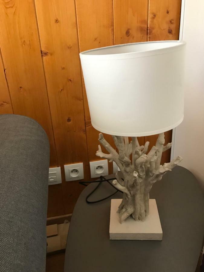Appartement Tt Confort Au Coeur Des Montagnes Avec Vue Sur Les Montagnes Wifi Luz-Saint-Sauveur Exteriér fotografie
